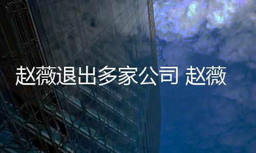 薇事消息赵薇 赵怎么最新多家公司件是回事退出